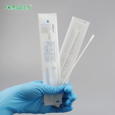 China Disposable Sterile Oral Cells Sample Swab Buccal Specimen Collection Sponge Swabs Transport Swab for sale