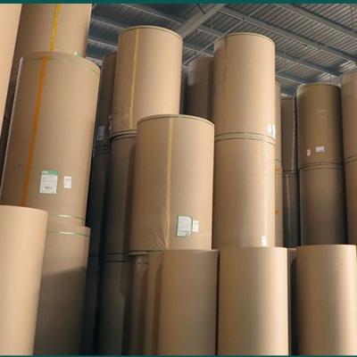 China Biodegradable Factory Double Wall Greaseproof Waterproof Single PE Coated Kraft Paper Roll Food Grade Raw Material For Paper Cup for sale