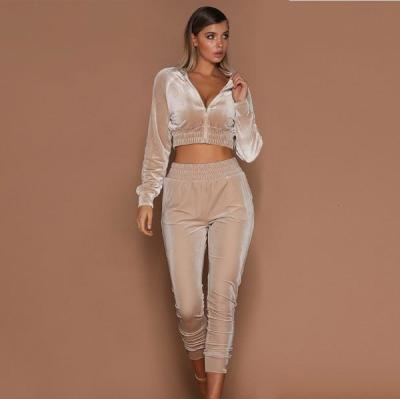 China Anti-Wrinkle TY Sports Suit American Style Hot Selling Women Autumn New Suede European And Short Zipper Tops Casual Pants Sports Outfits for sale