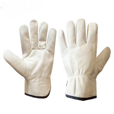 China Soft White Goat Leather Safety Water Proof Sheepskin Training Protective Gloves for sale