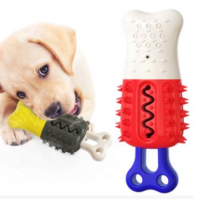 China Sustainable Dog Cooling Molar Stick Toothbrush Chew Toys For Summer for sale