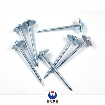 China Flat Nails roofing /galvanized roofing nails from china manufacturers for sale