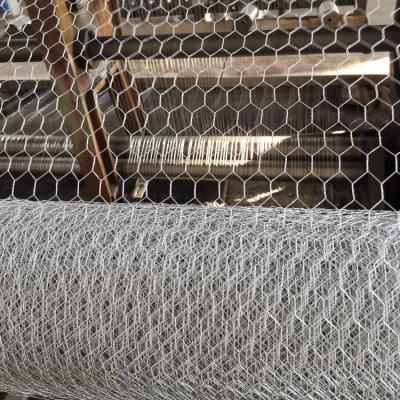 China Natural twist hexagonal wire mesh for chicken wire / wire mesh lowes for sale