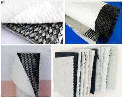 China Tri de Samenstellingsdrainage van Afmetingsgeocomposite Netto voor Stortplaats Sterke Treksterkte Te koop