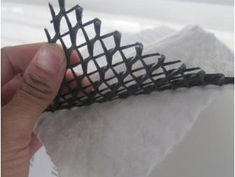 中国 ろ過のためのPP/ペットGeotextile 3DのHDPEのGeocompositeの排水の網 販売のため