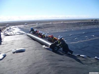 China Resistencia de rasgado del trazador de líneas de la charca de Geomembrane del polietileno de alta densidad alta en venta