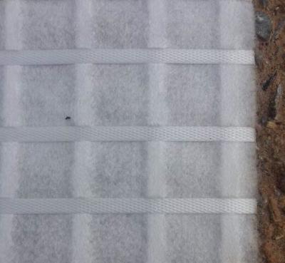 China Fio de aço preto/branco Geocomposite com o Geogrid composto plástico à venda