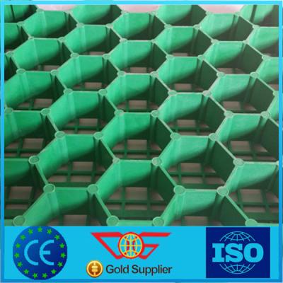 China Plastic PP/HDPE Good Quality Grass Paver 38mm-68mm High for sale