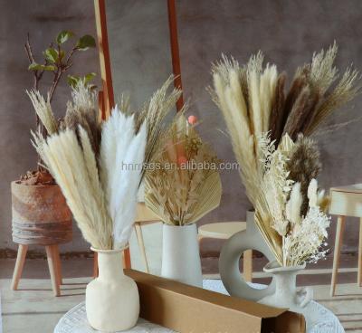 China Natural Touch Amazon Success Decoration Dried Flowers Brown White For Pampas Grass Tall Pampas Grass For Home for sale