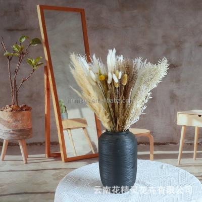 China Natural Dry Fluffy Pampas Grass Pampas Flowers Decorative Flowers Wholesale Price Contact Flowers Pampas Grass Natural Home Decor Weddings Large for sale