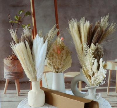 China Natural Touch Hot Selling Customized BunnyTail Natural Thatch Dry Pampas Grass Flowers Bouquet For Home Decoration for sale