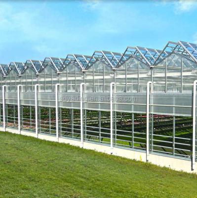 China PO or PE Profession Commercial Greenhouse Tropical Greenhouse Manufacturer From China for sale