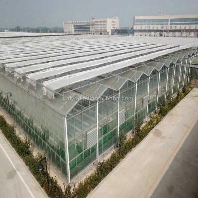 China Agricultural Glass Tomato / Potato Greenhouse And Polycarbonate Greenhouse for sale