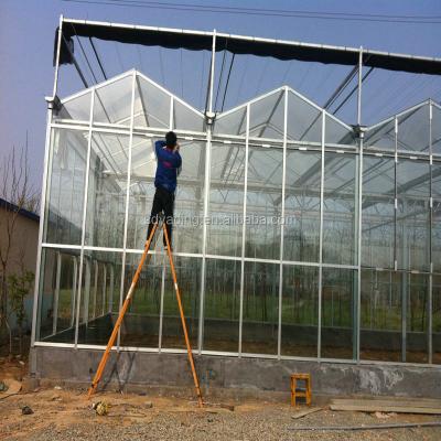 China Commercial Tomato / Potato Agriculture Polycarbonate Greenhouse And Glass Greenhouse With Hydroponic System for sale