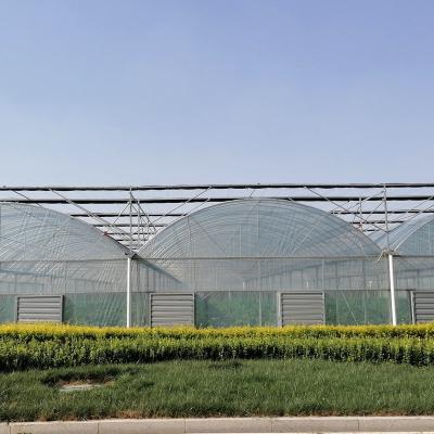 China Cheap PO or PE Film Multi-span Film Greenhouse Hydroponic Agriculture Greenhouse for sale