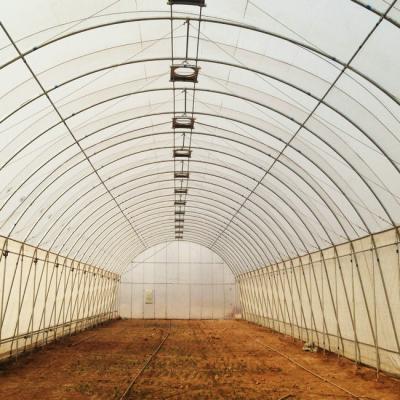 China Stable Structure Hot Sale Tunnel Greenhouse Agriculture Invernadero for sale