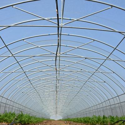 China Stable Steel Frame Structure Galvanized Single Span PE Film Greenhouse For Agriculture Low Cost Tunnel Greenhouse for sale