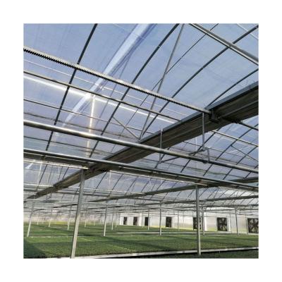 China Stable Structure Easily Assembled Multi Span Plastic Sheet Agricultural Tunnel Film Greenhouse Made In China for sale