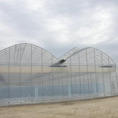 China Stable Structure Easily Assembled Large Span Multi Film Greenhouse Agricultural Greenhouse For Sale for sale