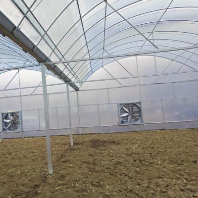 China Vegetables / Flower / Fruit Growing Multi - Span Agricultural Commercial Film Greenhouse With Heating System for sale