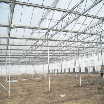 China Stable Structure Easily Assembled Polycarbonate Sheet Greenhouse For Different Crops for sale