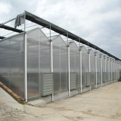 China Stable Structure Easily Assembled Polycarbonate Sheet Greenhouse For Planting Cucumber for sale