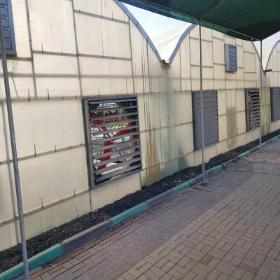 China Planting Vegetable Polycarbonate Plastic Greenhouse In 50m Width For Sale for sale