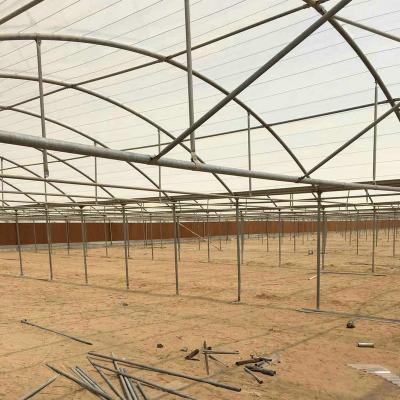 China Planting Plant Polycarbonate Plastic Commercial Greenhouse For Sale for sale