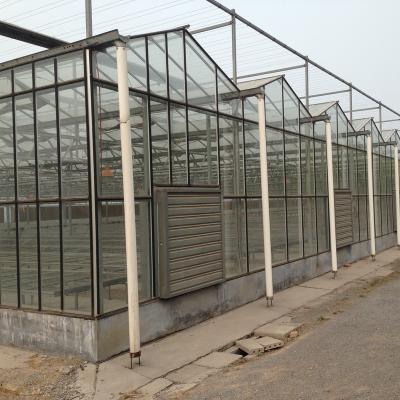 China Stable Structure Greenhouse Galvanized Glass Pipes Greenhouses Hot Sale Factory Direct Chinese Greenhouse for sale