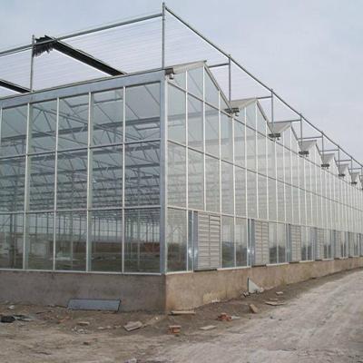 China Multi-span Stable Glass Greenhouse Agriculture Manufacturer Structure Hydroponic Greenhouse for sale