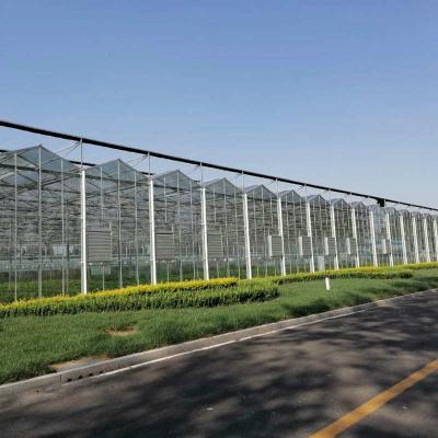 China Stable Structure Commercial Tomato Growing Glass Greenhouse Hydroponic Green House for sale