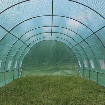 China Easily Assembled PE Fabric Green Walk In Greenhouse Garden Greenhouse Tent Greenhouses For Sale for sale