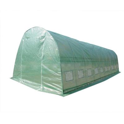 China Easily Assembled Garden Greenhouse 3x3x2m Galvanized Steel Pipe Walk-In Structure With PE Cover for sale