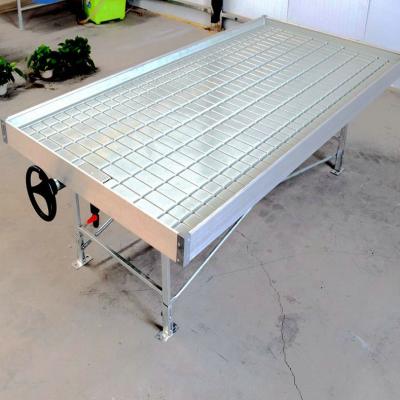 China Bench Irrigation Tray Farming Irrigation Tray Hydroponic Flood Greenhouse Cost Effective Rolling Bench for sale