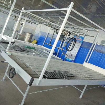 China Cost Effective Bench /Greenhouse Reflux Flow Rolling Bench Reflux And Flow Tables And Plastic Tray Table for sale