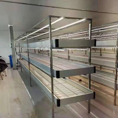 China Cost effective greenhouse aluminum alloy rolling benches ebb and flow benches for sale for hydroponic system for sale