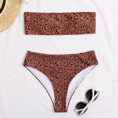 China New Design Swimsuit Fabric Antibacterial Spandex Swimwear Exotic Swimwear All Over Print for sale