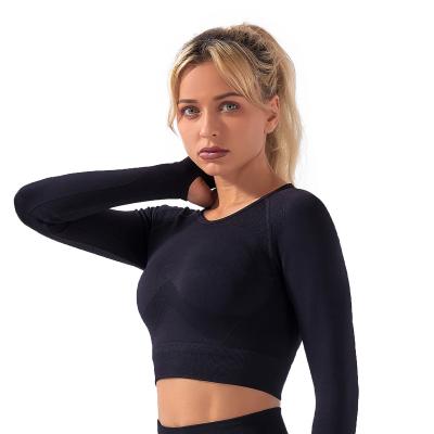 China Breathable China Supplier Factory Price Ladies Summer Four Way Stretch Yoga Tops Latest Design Seamless Tops Women for sale