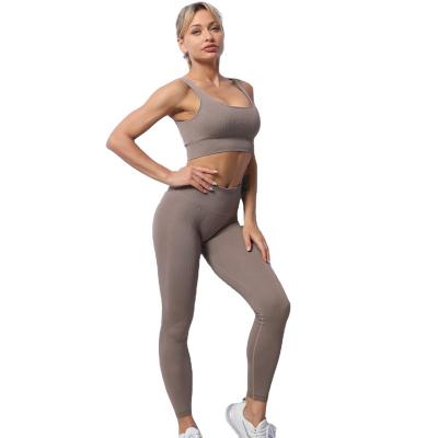 China Low Price Breathable Sexy Girl Design Fashion Sports Seamless Wearing Gaiters For Women for sale