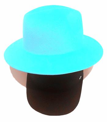 China Wholesale Picture Autumn Winter Wool Felt Wide Brim Fashion Jazz Hats Panama Hats For Women And Men for sale