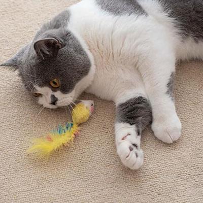 China Viable Sisal Cat Toy Pet Interactive Feather Ball Mouse Soft Plush Mouse Toy Set for sale