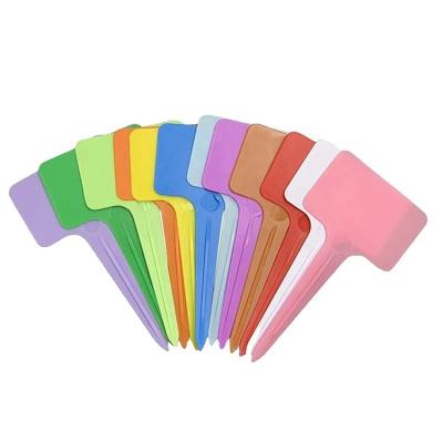 China Waterproof Colorful 10cm Plastic Plant Label Tags Waterproof T Type Plastic Plant Markers Labels Garden Tags for sale