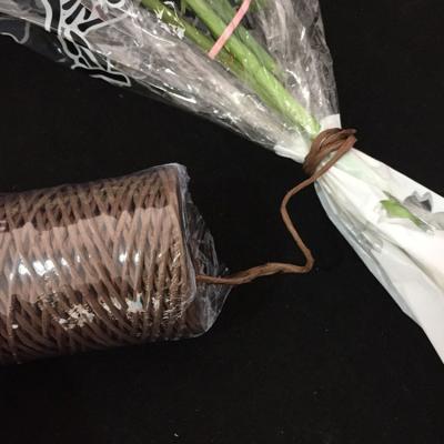 China Paper DIY Opens Twisted Wire Paper Rope Twine Twine Wrapped Paper with Iron Wire Inside for Garden Flower Grafting for sale