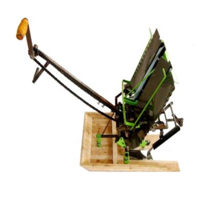 China Easy Operation 2 Rows Hulled Rice Cultivator Rice Planter Paddy Planting Machine for sale