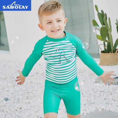 China Summer Sale Baby Boy Swimsuit Kids Two Piece Cartoon Print Antibacterial Hot Sale Sabolay's Rash Guard Beach Swimwear for sale