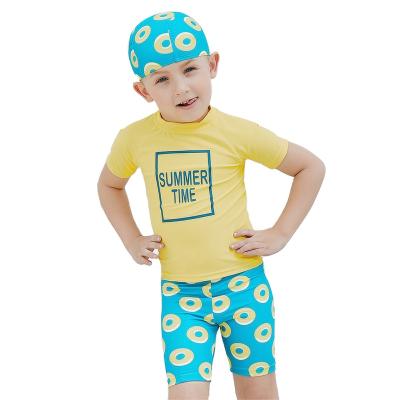 China Sabolay Antibacterial Customized Quality Kids Cartoon Printed Baby Boy Kids 2Pc Rash Guards Shorts Swimwear Beach Wear Swimwear for sale