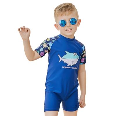 China One-Piece Boys Wetsuit Hot Spring Swimsuit Printed Antibacterial New Children's Swimsuit for sale