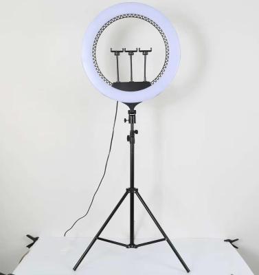 China 14 Inch Modern Ring Light - Dimmable Selfie LED Ringlight Camera with Tripod and Phone Holder for Live Stream /Makeup/YouTube for sale