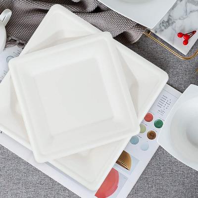 China Sugarcane Bagasse Paper Pulp Biodegradable Tableware Restaurant Biodegradable Fast Food Ambient Diner-in Place Disposable Dish for sale