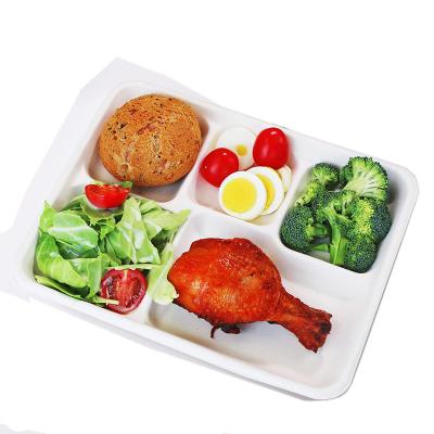 China Biodegradable Sugarcane Dishes 5 Compartment Rectangle Recycled Disposable Sugarcane Bagasse Dish Fast Food Tray for sale